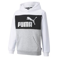puma-essential-colorblock-hoodie