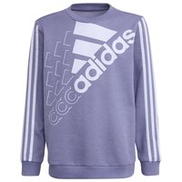 adidas-logo-sweatshirt