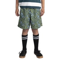 element-canyon-timber-youth-shorts