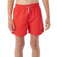 rip-curl-offset-volley-swimming-shorts