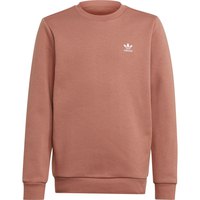 adidas-originals-adicolor-crew-junior-sweatshirt