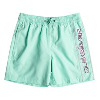 quiksilver-everyday-vert-volley-14-youth-swimming-shorts