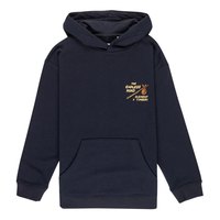 element-timber-roam-youth-hoodie