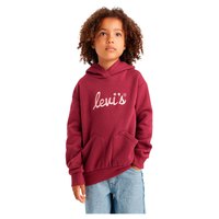 levis---poster-logo-kinder-hoodie