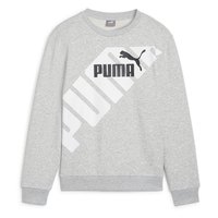 puma-power-graphic-b-sweatshirt