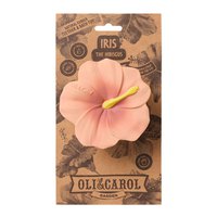 oli-carol-bitring-iris-the-hibiscus