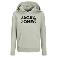 jack---jones-embro-palm-hoodie