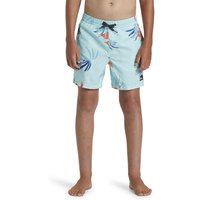 quiksilver-mix-vly-14-zwemshorts