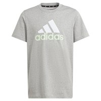 adidas-samarreta-maniga-curta-essentials-2-big-logo