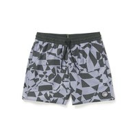 volcom-stoney-trunk-17-swimming-shorts