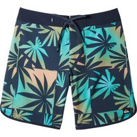 Quiksilver High Lines Call Swimming Shorts