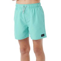 rip-curl-offset-volley-swimming-shorts