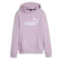 puma-ess-logo-g-hoodie